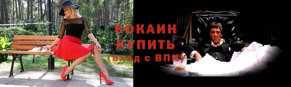 герыч Дмитриев